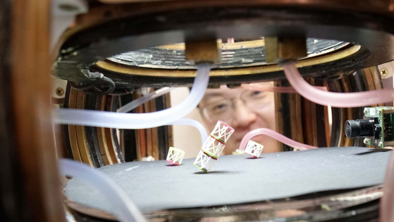 A researcher observes a metabot inside a magnetic chamber